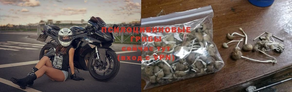 бошки Приозерск