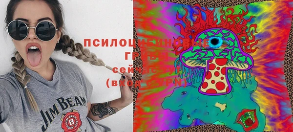 молекула духа Пролетарск