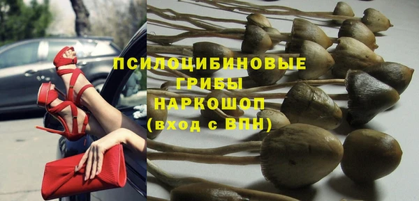 бошки Приозерск